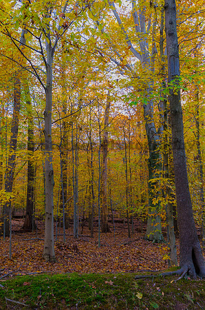 20131101-DSC_6828