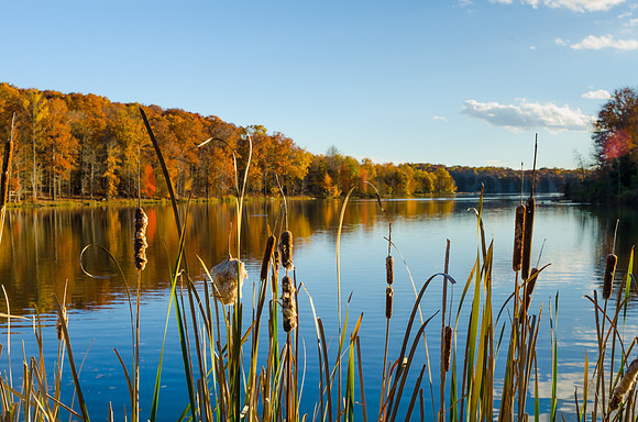 20131101-DSC_6843