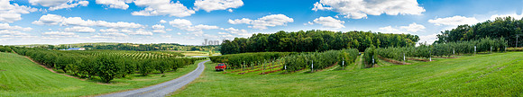 20120923 - Panorama Orchard