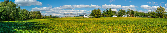 20120923 - Panorama Field below Sugarloaf
