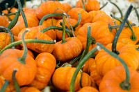 Pumpkins