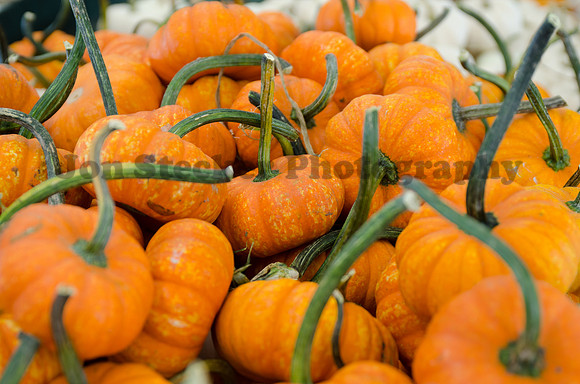 Pumpkins