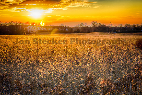 20150115-DSC_0974_HDR