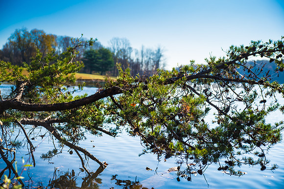 20121109-DSC_1306