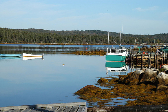 DSC_0012 (2)