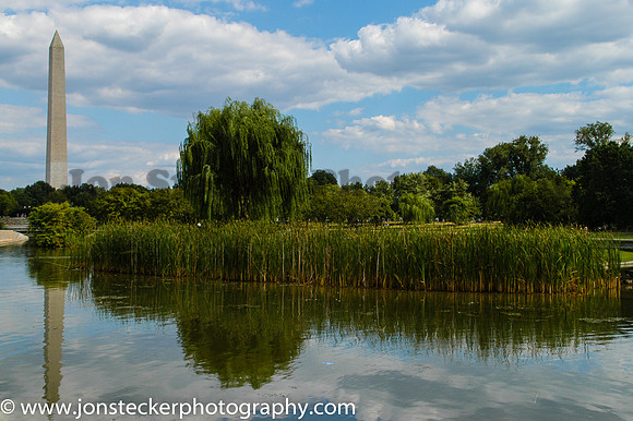DC Pond