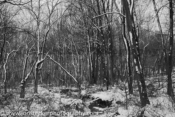 Snowscape in B&W