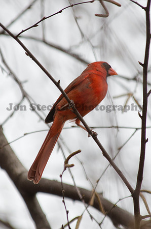 20140411-DSC_8283