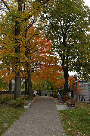 DSC_0084 (2)