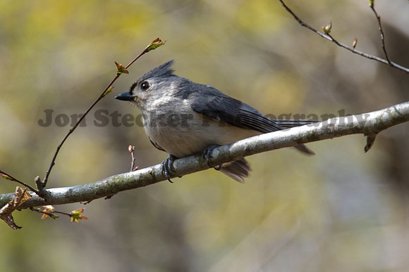 20140422-DSC_7417