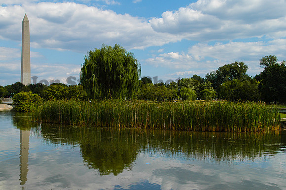 DSC_0108-Edit