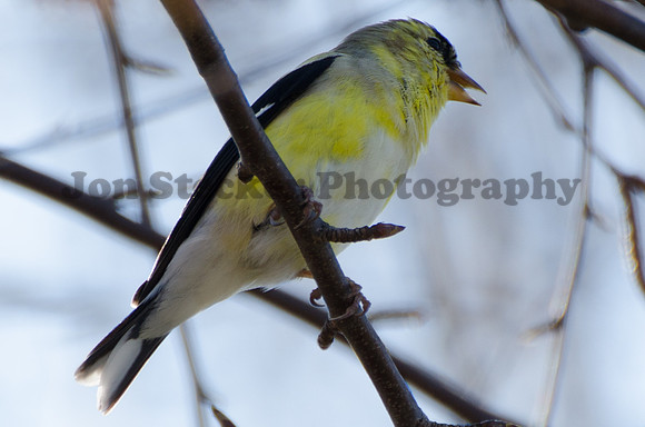20140410-DSC_8159