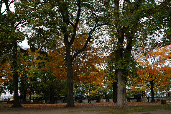 DSC_0086 (2)