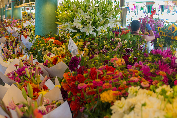 20150730-DSC_0189