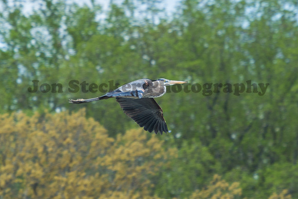 20140423-DSC_7588