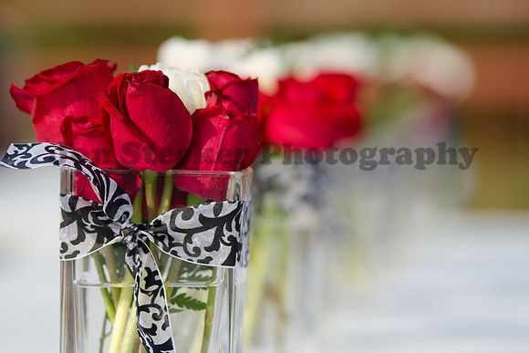 20120525-DSC_3974