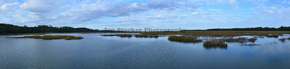 Marsh Panorama