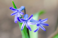 20140412-DSC_8321