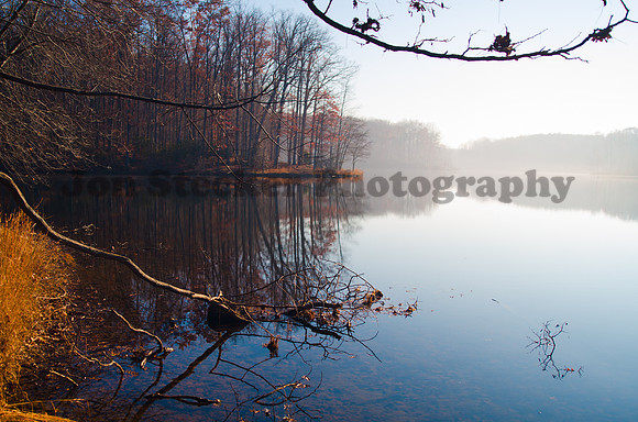 20121121-DSC_5235