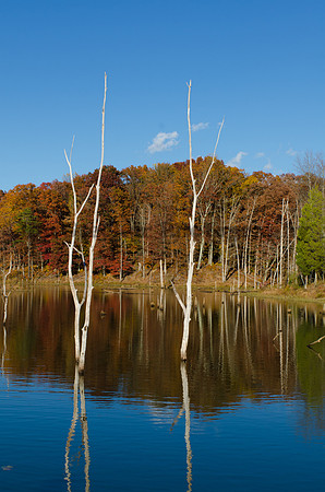 20131101-DSC_6798